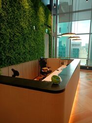 Bugis Junction (D7), Office #541964021